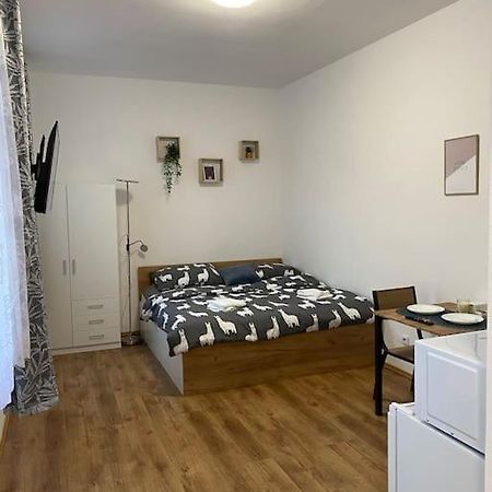 Cozy 1 Bedroom Studio In The Center Of Pilsen 외부 사진